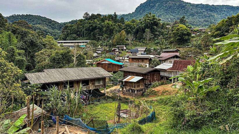 Chiang Mai: Doi Inthanon National Park and Pha Dok Siew Trek - Doi Inthanon: why this day trip actually feels like a different world