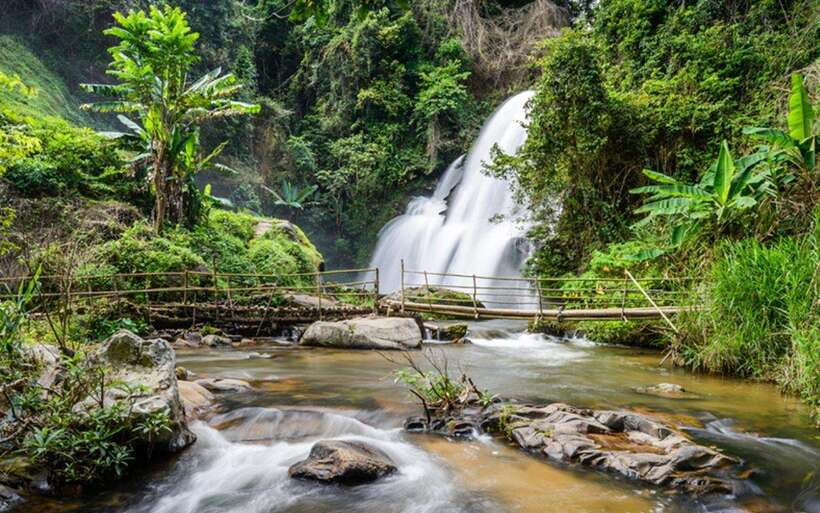 Chiang Mai: Doi Inthanon National Park and Pha Dok Siew Trek - Pickup and timing: the van day that still leaves room to breathe
