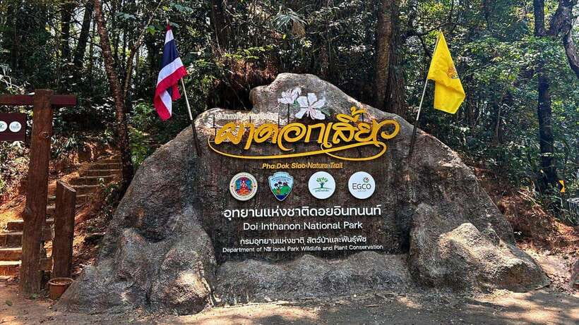 Chiang Mai: Doi Inthanon National Park and Pha Dok Siew Trek - Pha Dok Siew Nature Trail: gentle by design, challenging by the stairs