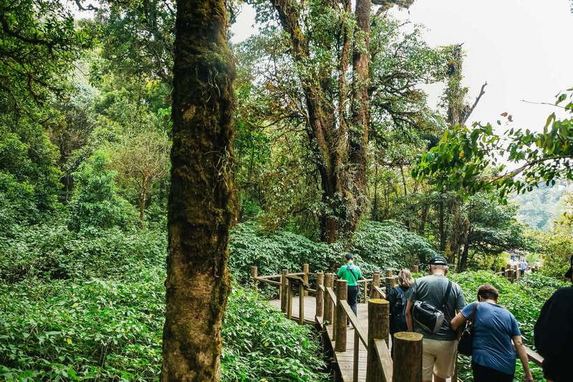 Chiang Mai: Doi Inthanon National Park Eco-Friendly Tour - Doi Inthanon National Park: Thailand’s highest point, guided and practical