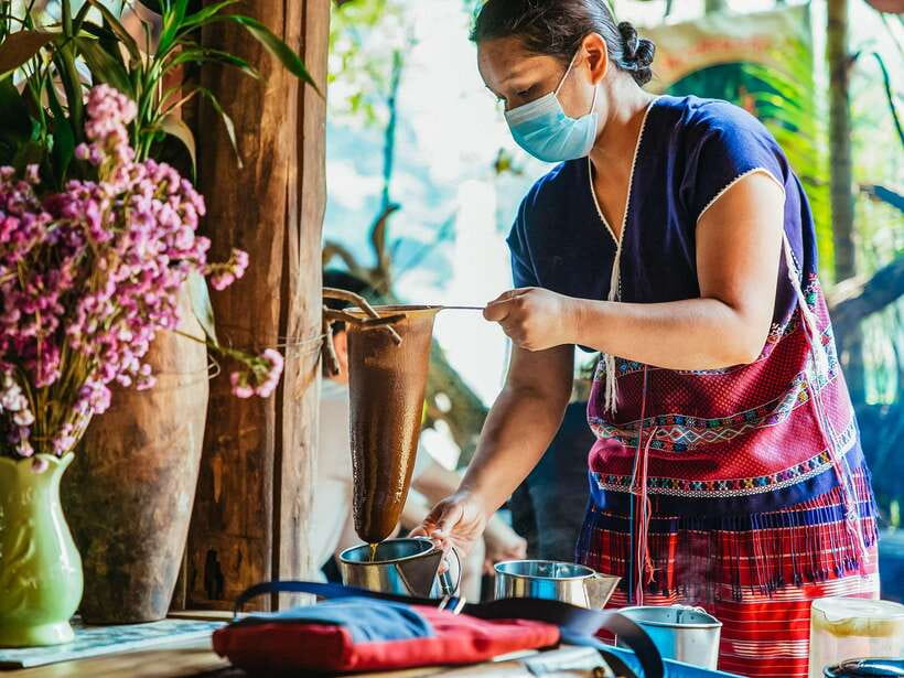 Chiang Mai: Doi Inthanon National Park Eco-Friendly Tour - Price and value: what $46 gets you (and what it doesn’t)