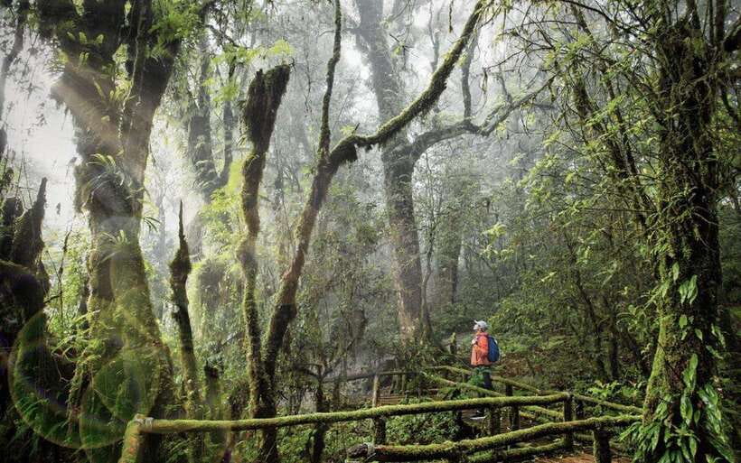 Chiang Mai: Doi Inthanon National Park Sightseeing Only - Key highlights to look for