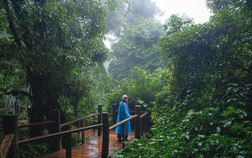 Chiang Mai: Doi Inthanon National Park Sightseeing Only - King and Queen Pagodas: two names, one panoramic viewpoint