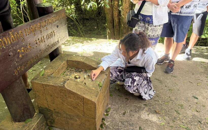 Chiang Mai: Doi Inthanon National Park Sightseeing Only - Ang Ka Luang Nature Trail: the short rainforest walk that matters