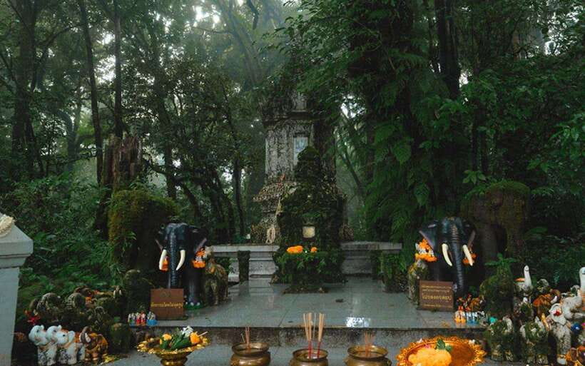 Chiang Mai: Doi Inthanon National Park Sightseeing Only - The guides and drivers: English help and smooth transfers