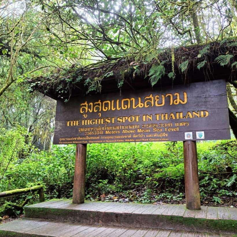 Chiang Mai: Doi Inthanon National Park & Waterfall Day Tour - What Makes This Tour Work (Beyond the Checklist)