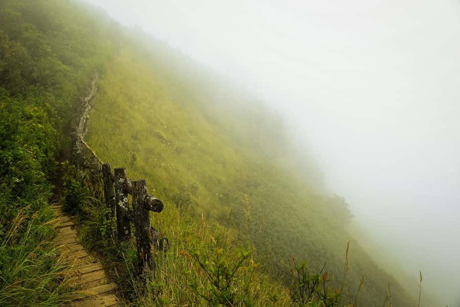 Chiang Mai: Doi Inthanon National Park, Waterfall & Lunch - A high-altitude Chiang Mai day trip to Doi Inthanon