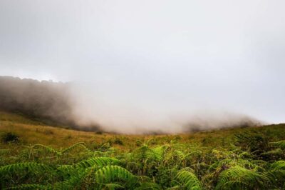 Chiang Mai: Doi Inthanon National Park, Waterfall & Lunch - Wachirathan Waterfall and the viewpoints near the highest point