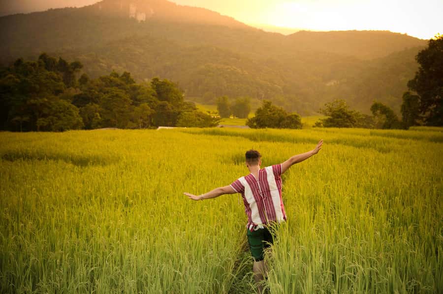 Chiang Mai: Doi Inthanon National Park, Waterfall & Lunch - Karen Village lunch: eating your way into northern culture