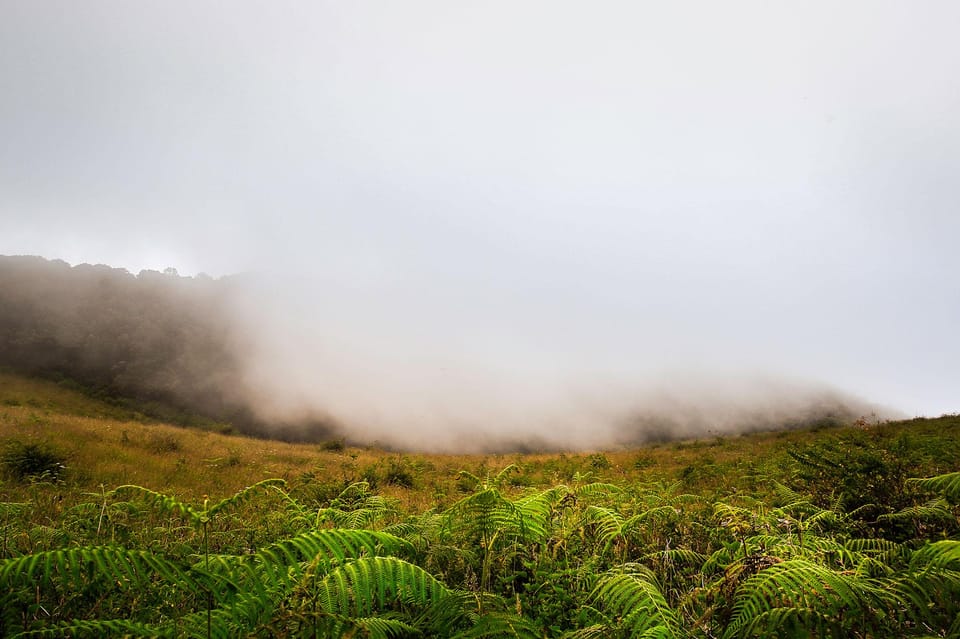 Chiang Mai: Doi Inthanon National Park, Waterfall & Lunch - Price and options: what $37 really buys you