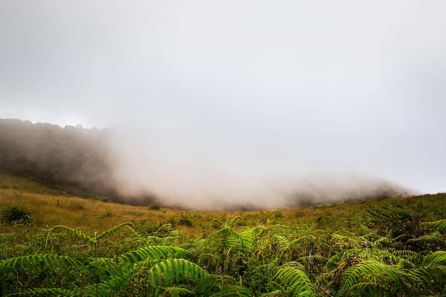 Chiang Mai: Doi Inthanon National Park, Waterfall & Lunch - Wachirathan Waterfall and the viewpoints near the highest point