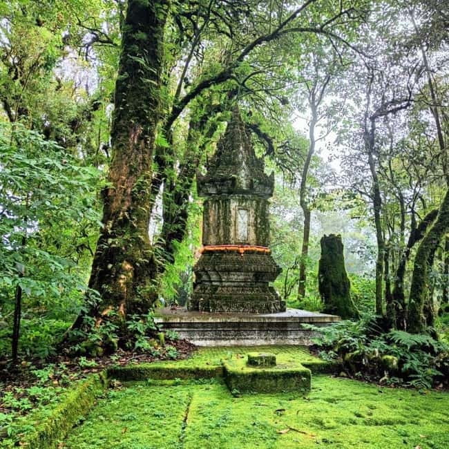 Chiang Mai: Doi Inthanon National Park+Trek Pha Dok Siew - Key Highlights That Make This Day Trip Worth It
