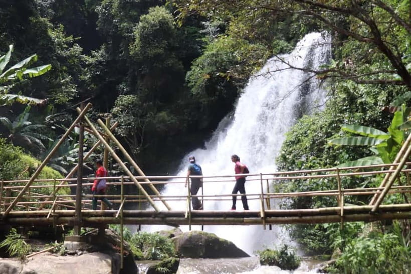 Chiang Mai: Doi Inthanon National Park+Trek Pha Dok Siew - Getting Started: Early Pickup and a Full-Day Rhythm