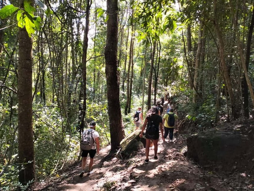 Chiang Mai: Doi Inthanon National Park+Trek Pha Dok Siew - Lunch and Timing: Fueling Up for the Trail