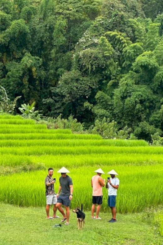 Chiang Mai: Doi Inthanon Park and Pha Dok Siew Trail Trek - From Chiang Mai pickup to Doi Inthanon’s cooler air