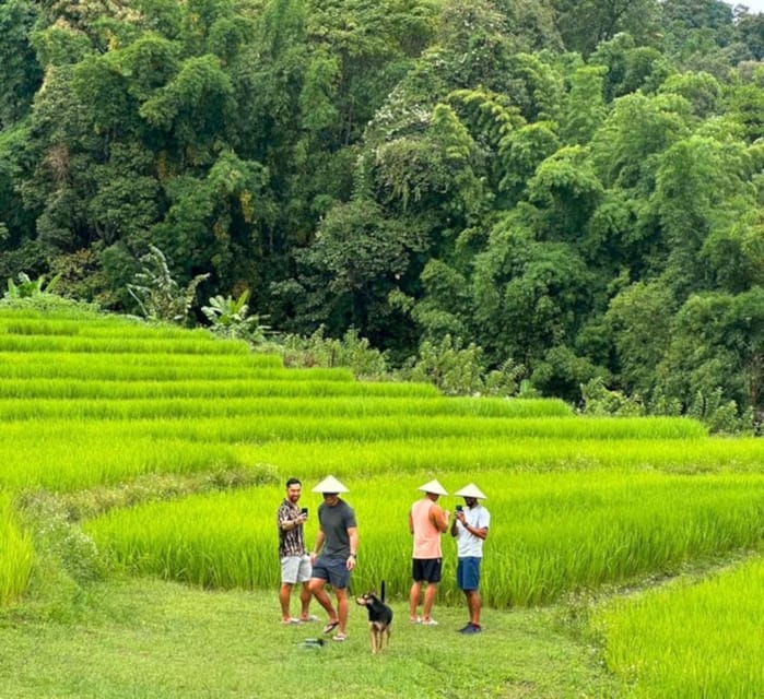 Chiang Mai: Doi Inthanon Park and Pha Dok Siew Trail Trek - Coffee tasting at Baan Mae Klang Luang: a real break with a story