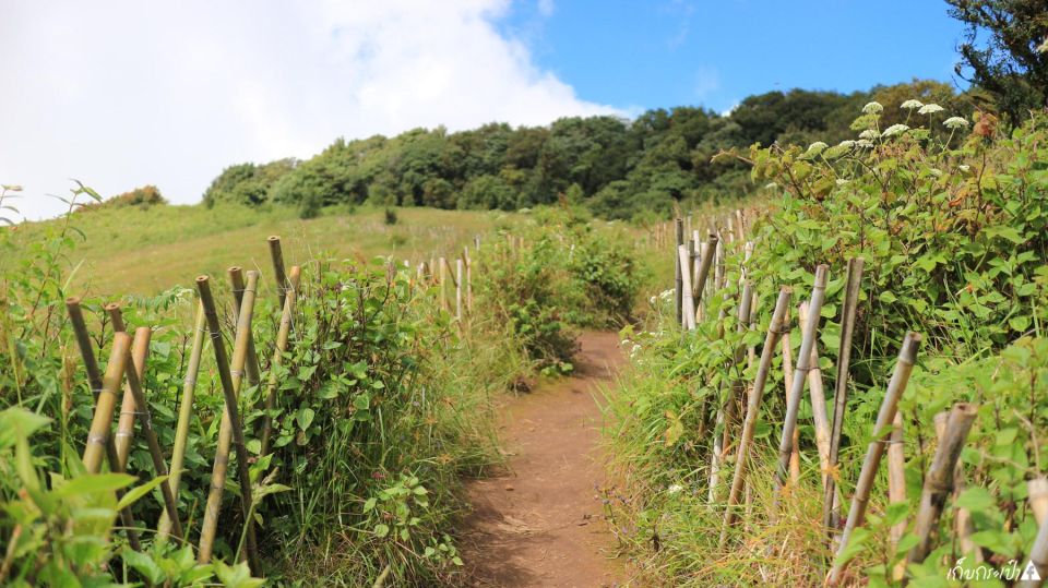 Chiang Mai: Doi Inthanon Park Day Trip with Kiw Mae Pan Hike - Why Doi Inthanon Feels Different Than Other Day Trips From Chiang Mai