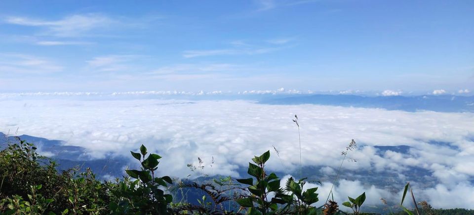 Chiang Mai: Doi Inthanon Park Day Trip with Kiw Mae Pan Hike - Guide Quality and Small-Group Support (This Is Where You Feel the Difference)