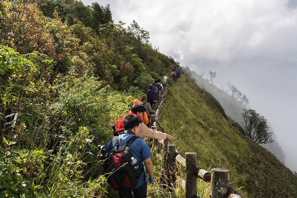 Chiang Mai: Doi Inthanon Park Day Trip with Kiw Mae Pan Hike - Kew Mae Pan Nature Trail: The Hike That Makes the Whole Trip Worth It