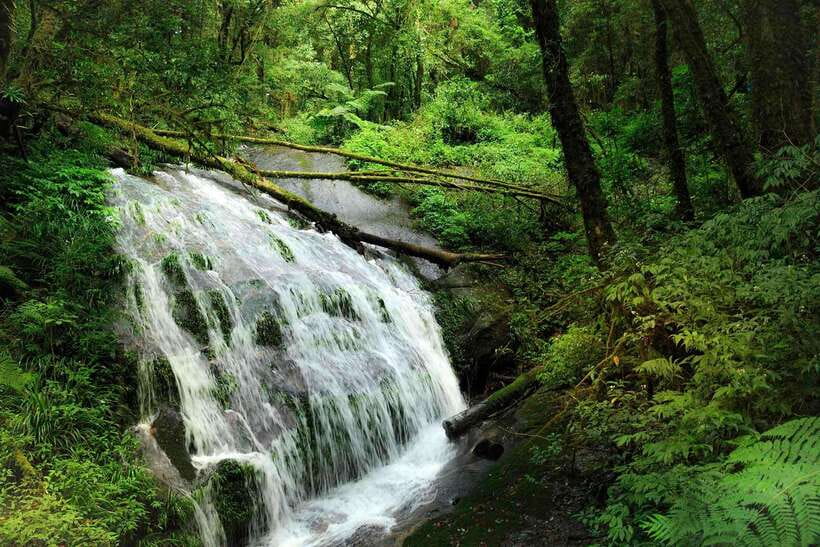 Chiang Mai: Doi Inthanon Park Tour & Kew Mae Pan Trail Hike - Price and park fees: what you’re really paying for at $51 per group