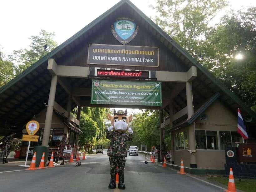 Chiang Mai: Doi Inthanon Park Tour & Kew Mae Pan Trail Hike - Who this Doi Inthanon day hike suits best (and who should skip it)