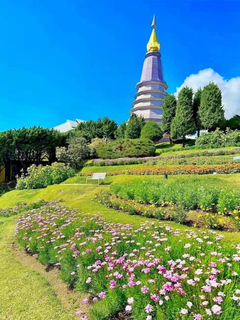 Chiang Mai Doi Inthanon Park Waterfall Pure Sightseeing Tour - Key Points You’ll Care About