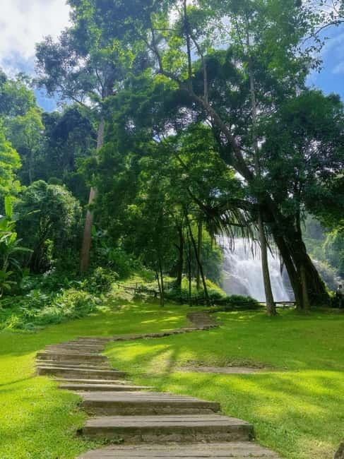 Chiang Mai Doi Inthanon Park Waterfall Pure Sightseeing Tour - A One-Day Plan That Actually Covers the Best of Doi Inthanon