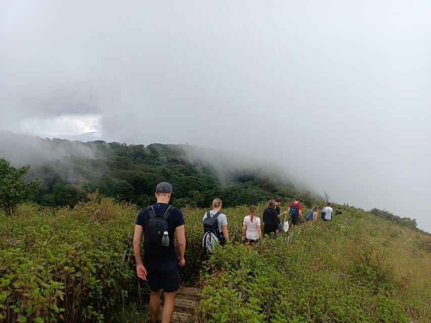 Chiang Mai: Doi Inthanon Park with Kew Mae Pan Hike Day Trip - Price and value: what $62 really buys you