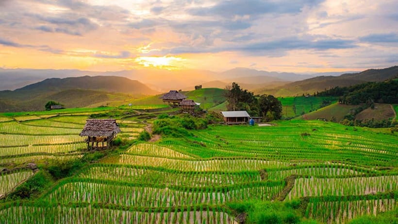 Chiang Mai: Doi Inthanon Trip with Pha Dok Siew Guided Trek - Price and value: why it can feel like a bargain in the right season