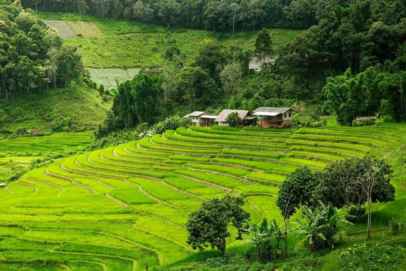 Chiang Mai: Doi Inthanon Trip with Pha Dok Siew Guided Trek - Pha Dok Siew Nature Trail: what the 2-hour guided hike really feels like