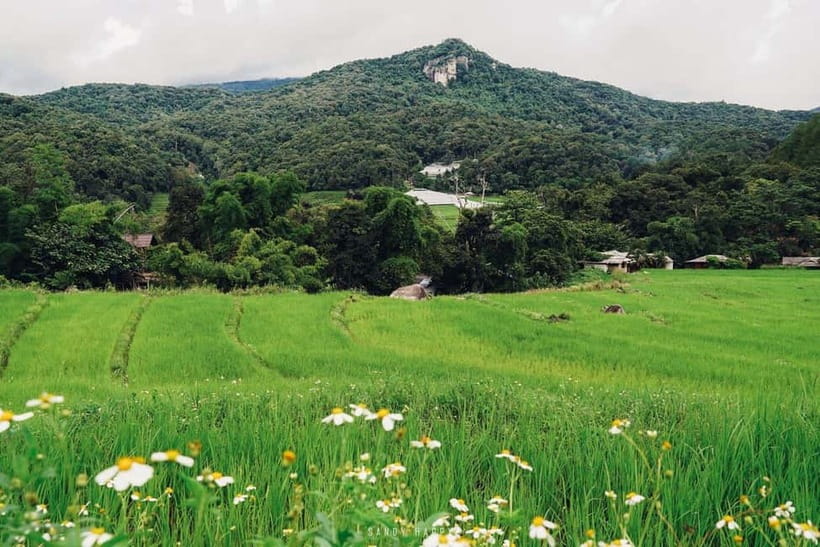 Chiang Mai: Doi Inthanon Trip with Pha Dok Siew Guided Trek - What to pack and wear so the day feels easy