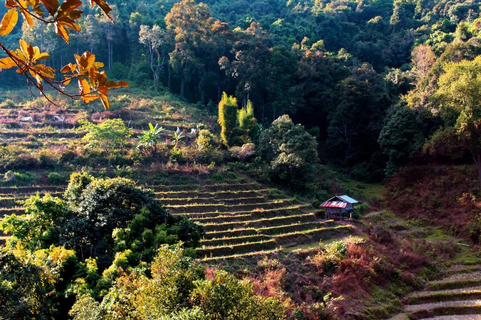 Chiang Mai: Doi Inthanon, Waterfalls, & Tribal Villages Tour - Price and value for a 10-hour Chiang Mai escape
