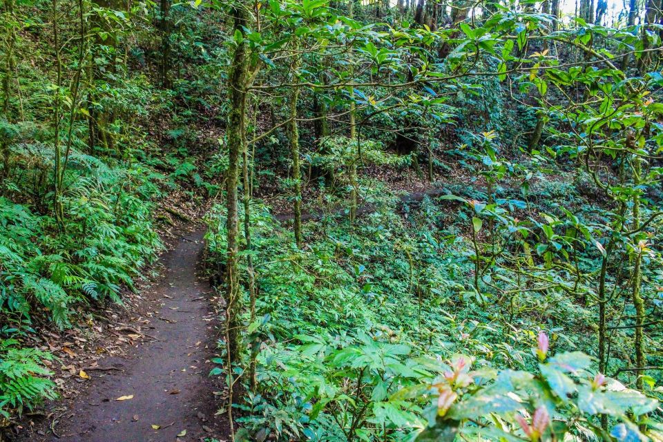 Chiang Mai: Doi Inthanon, Waterfalls, & Tribal Villages Tour - Lunch on the mountain: a set menu that varies in satisfaction