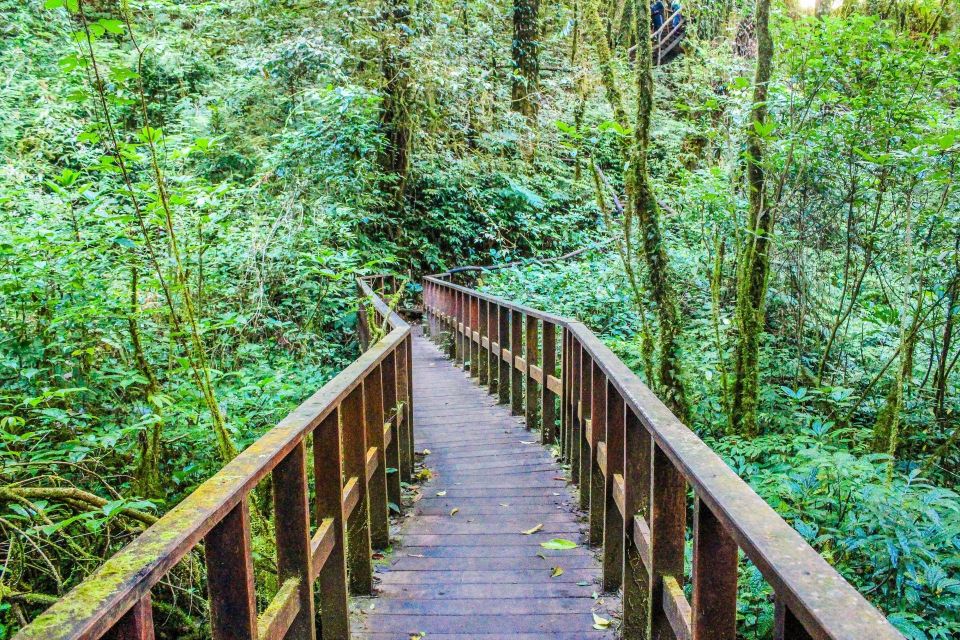 Chiang Mai: Doi Inthanon, Waterfalls, & Tribal Villages Tour - Guides really shape the day (Bobo, Choo, PJ, Nammy, and more)