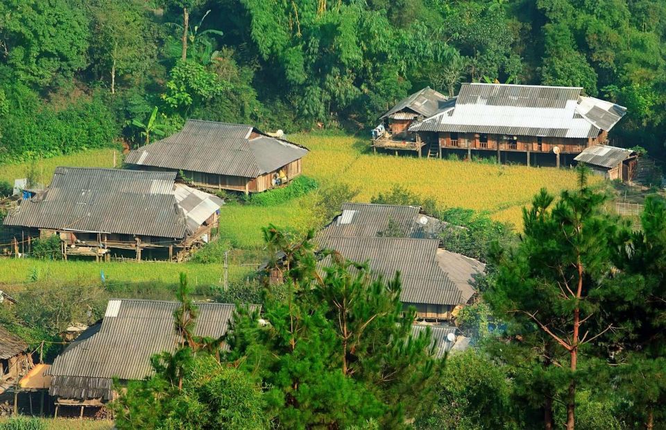 Chiang Mai: Doi Suthep and Hmong Village Half-Day Tour - How Wat Phra That Doi Suthep Turns a Morning Into a Story