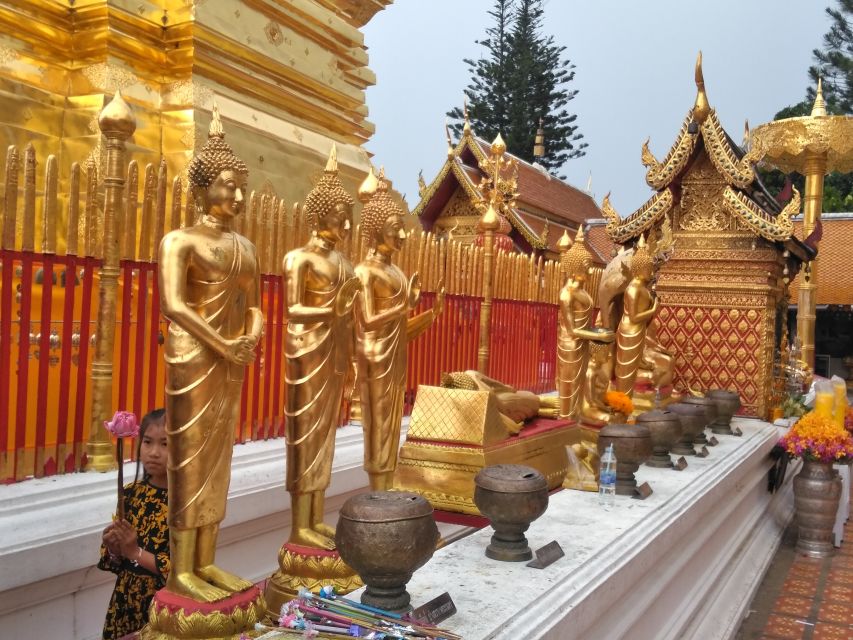 Chiang Mai: Doi Suthep National Park Leisure Hiking & Biking - The ride itself: downhill fun, with one key consideration