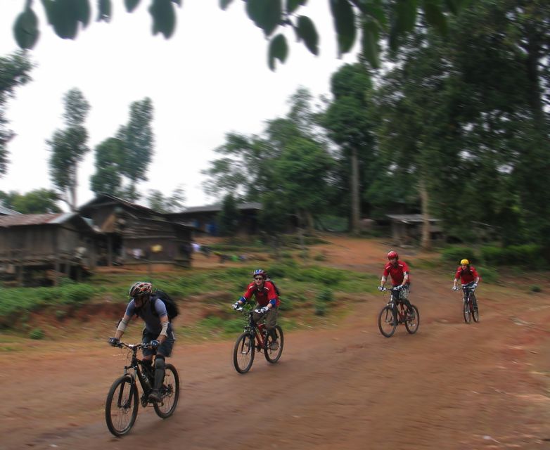 Chiang Mai: Doi Suthep National Park Leisure Hiking & Biking - Safety, bike sizing, and support that actually helps