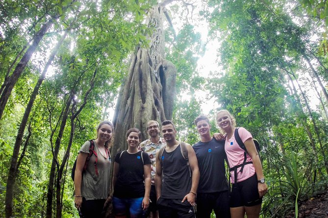 Chiang Mai: Doi Suthep Summit Trek – 7 Hour Pure Hiking Adventure - Key things I’d zero in on before you go
