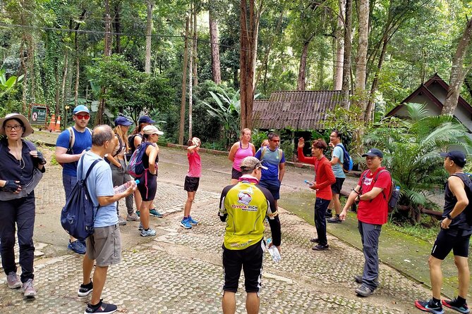 Chiang Mai: Doi Suthep Summit Trek – 7 Hour Pure Hiking Adventure - Entering Doi Suthep National Park from Monk’s Trail, not a crowded road