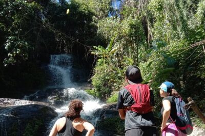 Chiang Mai: Doi Suthep Summit Trek – 7 Hour Pure Hiking Adventure - Wat Pha Lat and the Monk’s Trail start: jungle quiet, then temple calm
