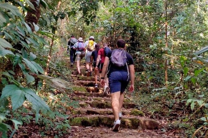 Chiang Mai: Doi Suthep Summit Trek – 7 Hour Pure Hiking Adventure - Guides, safety, and group size: why small matters on steep trails