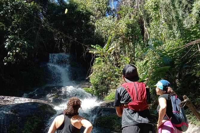 Chiang Mai: Doi Suthep Summit Trek – 7 Hour Pure Hiking Adventure - Wat Pha Lat and the Monk’s Trail start: jungle quiet, then temple calm