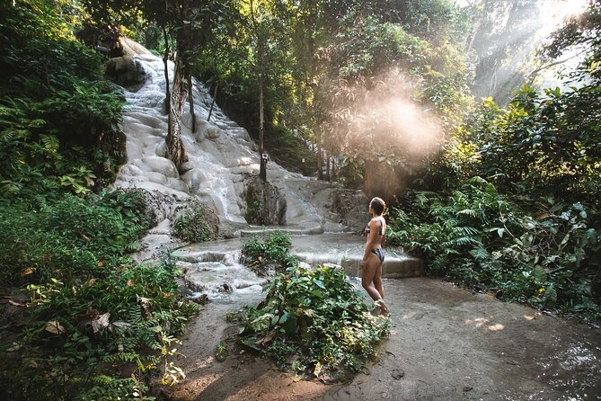 Chiang Mai Doi Suthep Temple and Sticky Waterfall Tour (Private & All-Inclusive) - Key Highlights You’ll Care About