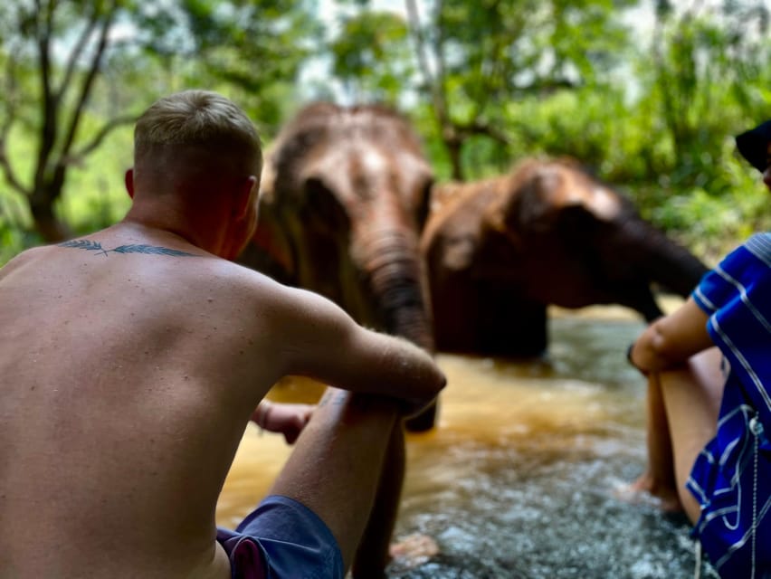 Chiang Mai: Elephant Dream Project Sanctuary - Half-Day - Key highlights worth your attention