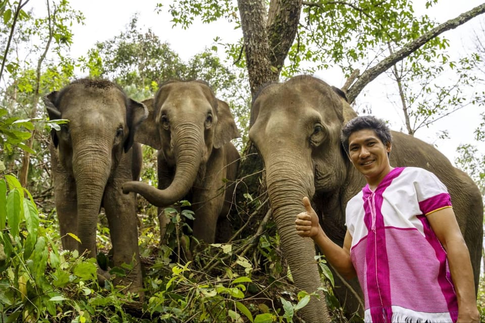 Chiang Mai: Elephant Dream Project Sanctuary - Half-Day - Who Should Book This Half-Day Elephant Sanctuary in Chiang Mai?