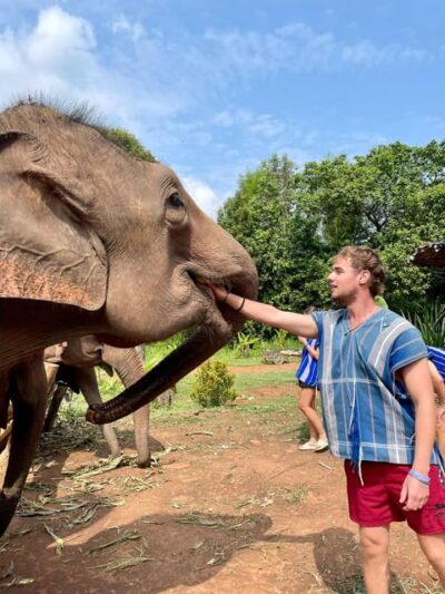 Chiang Mai: Elephant Dream Project Sanctuary - Half-Day - Arriving at the Sanctuary: Elephant Dream Project Orientation