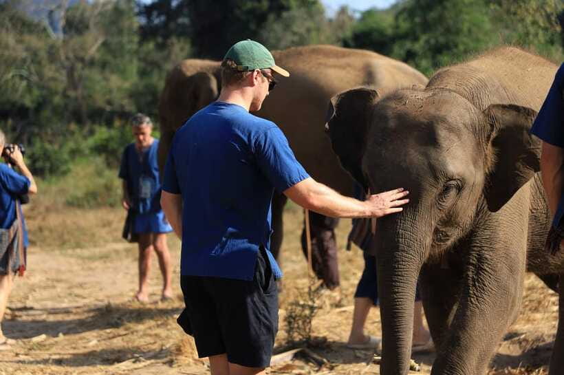 Chiang Mai: Elephant Sanctuary Bamboo Raft & Padthai Cooking - Bamboo rafting on the Wang River: calm water, big splashes