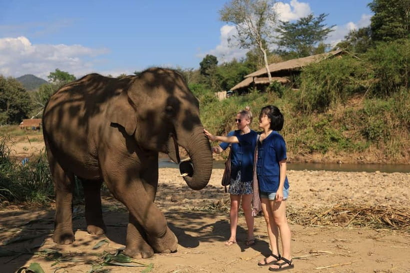 Chiang Mai: Elephant Sanctuary Bamboo Raft & Padthai Cooking - Price and value: what $54 buys you in real terms