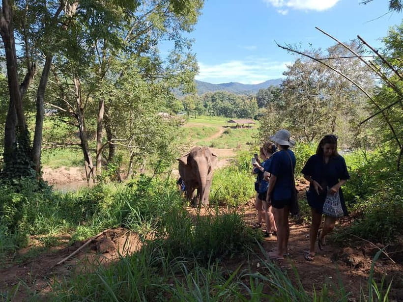 Chiang Mai: Elephant Sanctuary Bamboo Raft & Padthai Cooking - What to bring (and what will make the day easier)