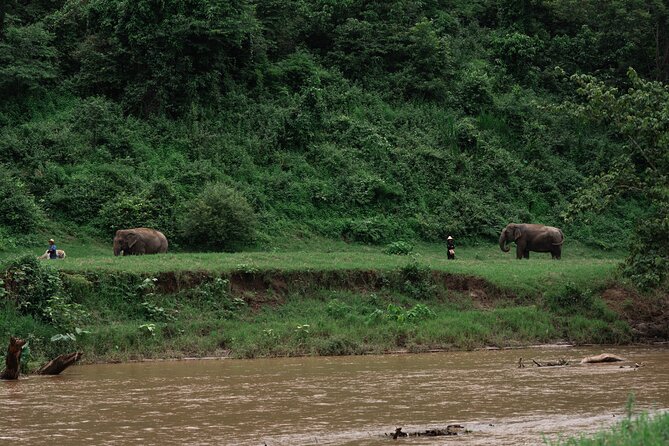 Chiang Mai Elephant Sanctuary, Bamboo Rafting and Waterfall Tour - Timing, pickup, and the 8-hour rhythm